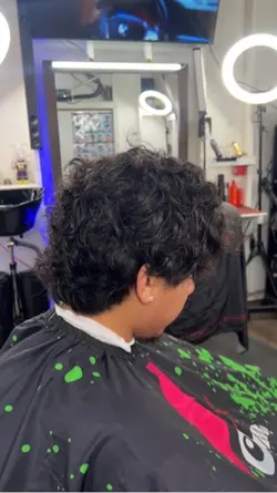 Mullet