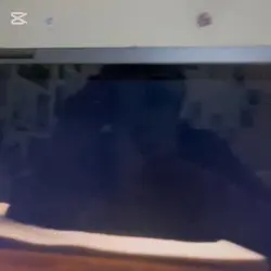 AUTISTIC!?!?!?