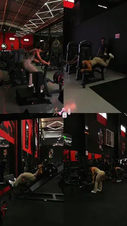 GYM WORKOUT 