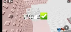캡컷체크