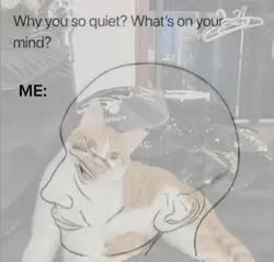 what's on your mind 