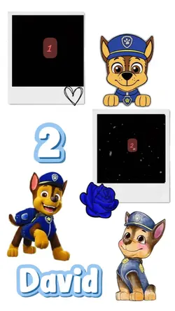 Cumpleaños/pawpatrol