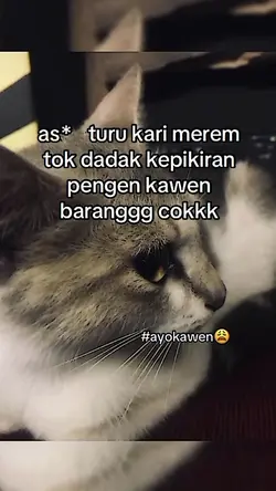 turu gari merem