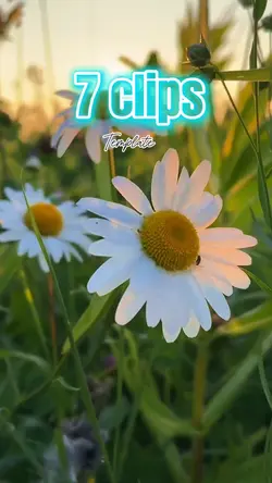 7 clips mini vlog 