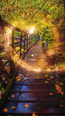 autumn fall