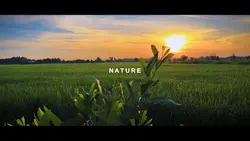 Nature music