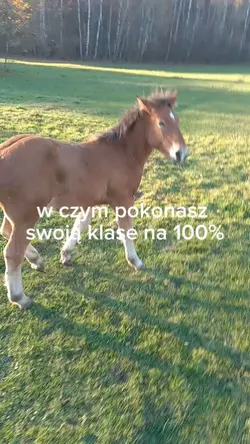 a w czym byś pokonał