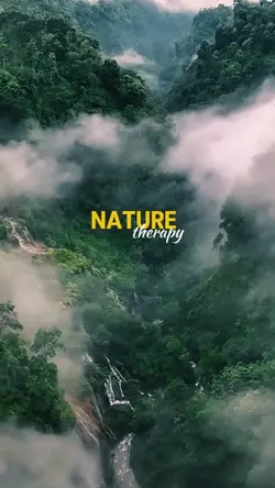 Nature therapy 