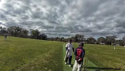 cricket shots