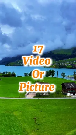 17 video or picture 