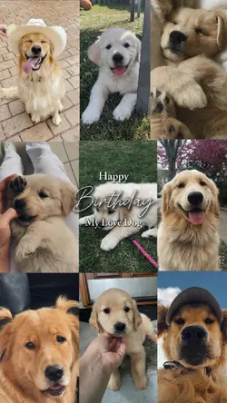 birthday