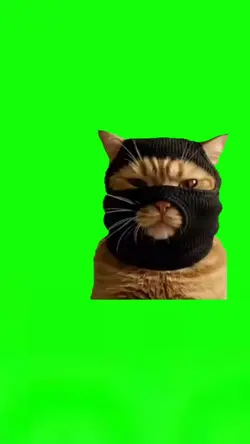 Mask Cat