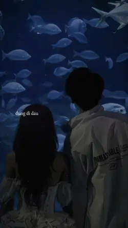 đừng đi đâu 