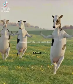 Loll
