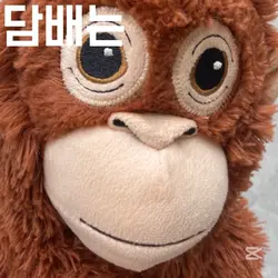 담배는 앙대!!