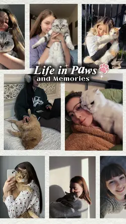 Paws Memories