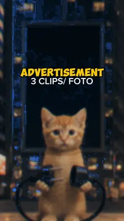 CAT BILLBOARD 