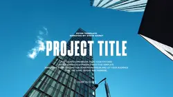 THE PROJECT
