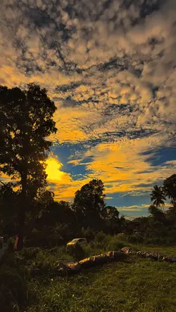 BI SARAHA SENJA