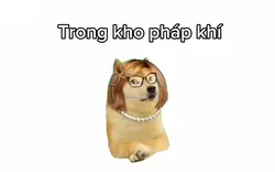 Free🗿