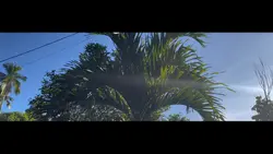 Videography 