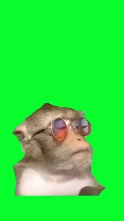 sunglasses monkey