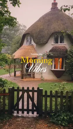 Morning Vibes 