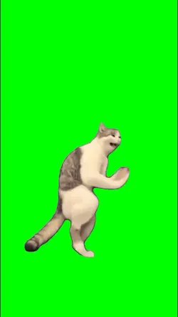cat dance beethoven