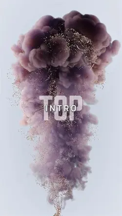 Sparkles Intro Top