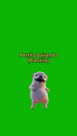 Perrito bailando