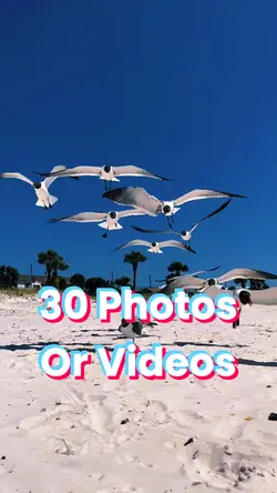 30 Photo Slides