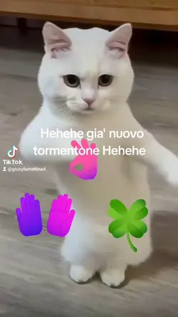 balla che ti passa