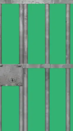 prison gate open 