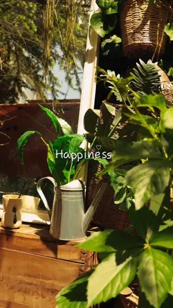 Happiness