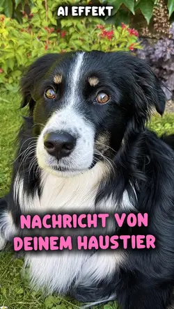 Haustier spricht AI