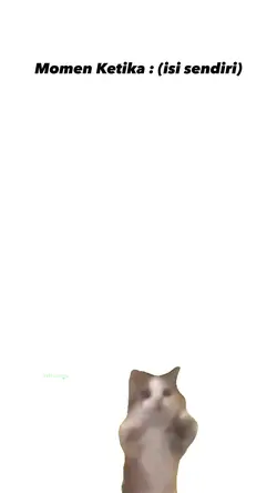 kucing joget