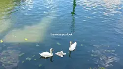 I've seen it