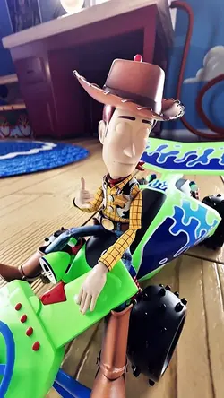 JJ FOTO LIVE WOODY