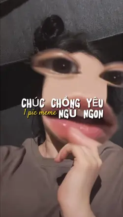 1 ảnh meme