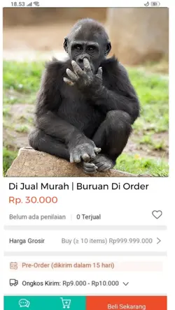 meme jual temen
