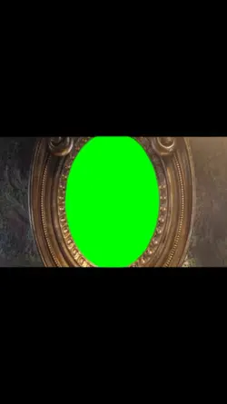 Shrek mirror