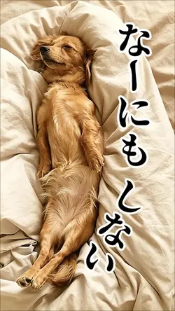 なーにもしない