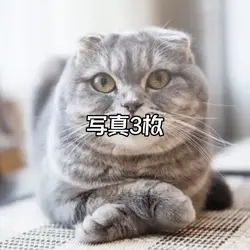 写真3枚