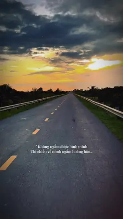 Không ngắm bình minh