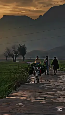 zaiturehman_ajiz