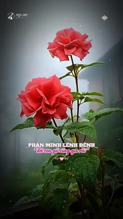 Buồn Lắm Người Ơi 