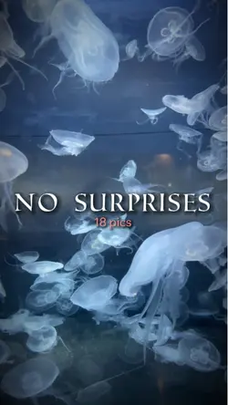 no surprises