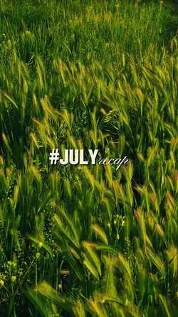 #julyrecap