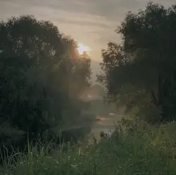 •