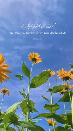 “Rabbim seni…”